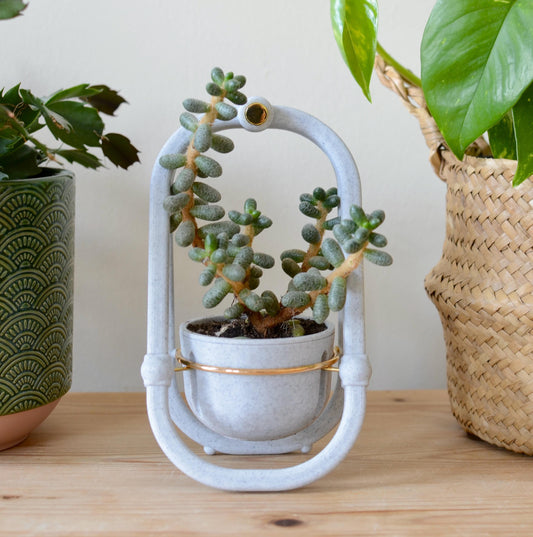 Cradle planter - Mini, modern indoor plant pot in marble plastic/brass